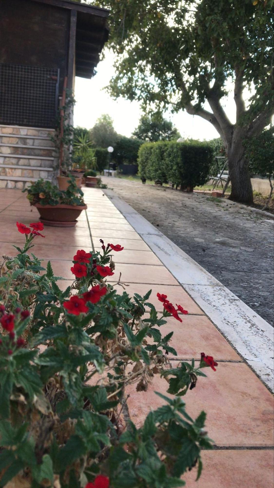 Villa Marida Gioia Del Colle Exteriér fotografie