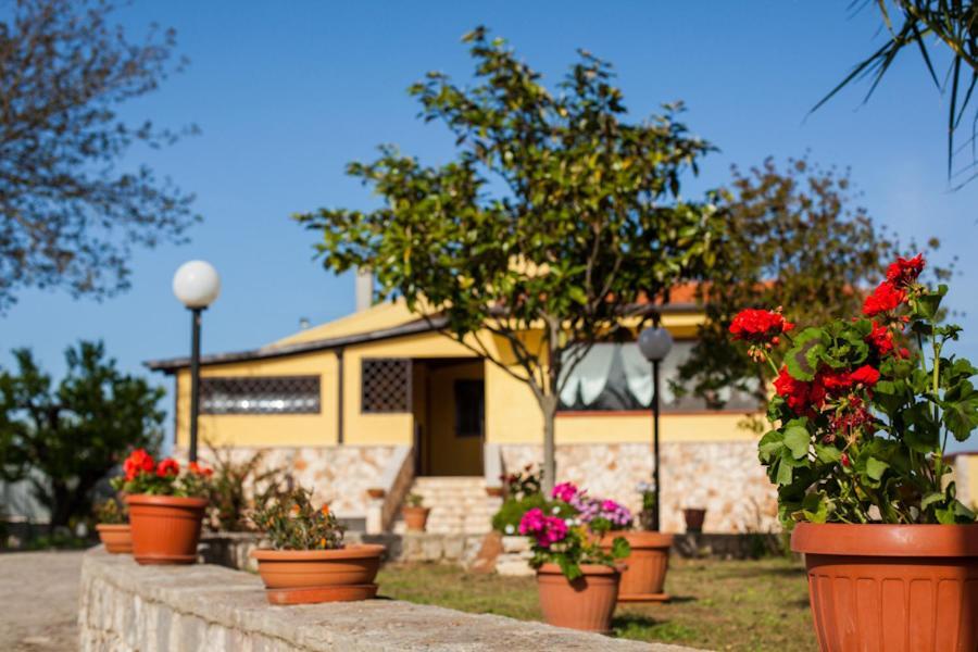 Villa Marida Gioia Del Colle Exteriér fotografie