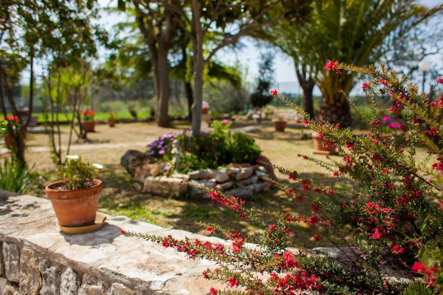 Villa Marida Gioia Del Colle Exteriér fotografie